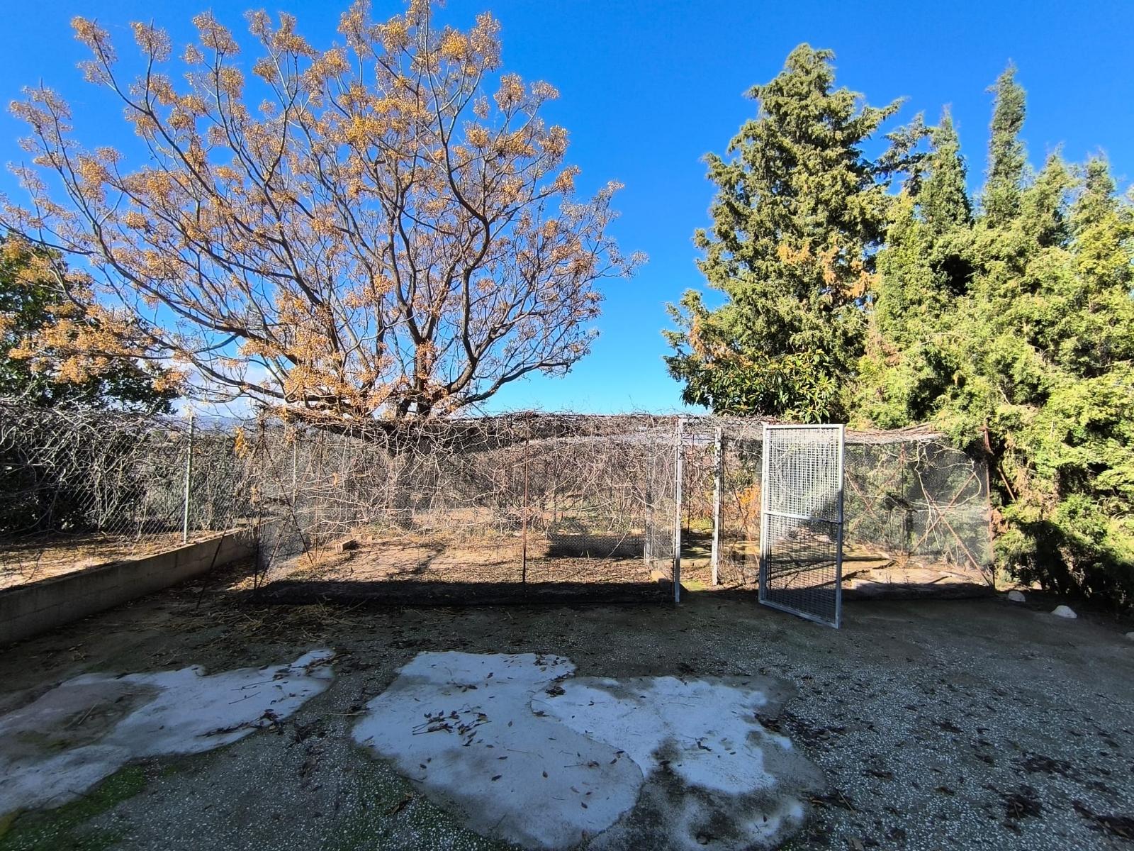 Casa Rústica en Venta – Pliego, Murcia - 16