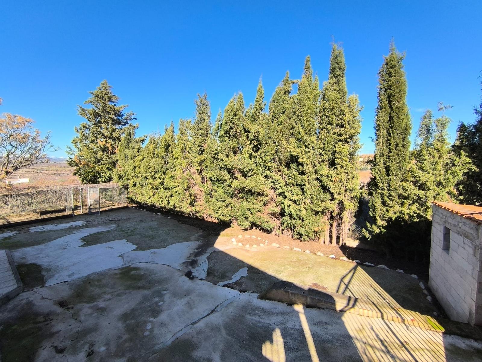 Casa Rústica en Venta – Pliego, Murcia - 18