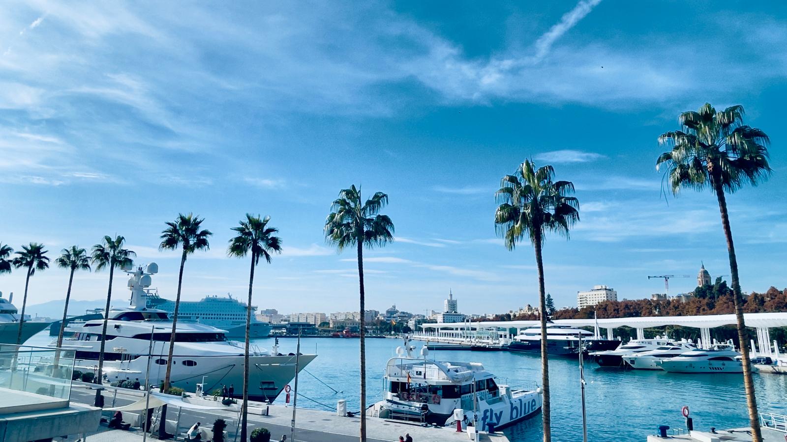 Piso Premium - Alameda Principal de Málaga - 4