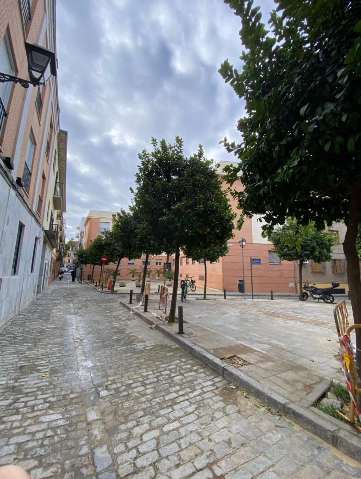 Piso en Venta - Doctor Barraquer, Sevilla  - 8