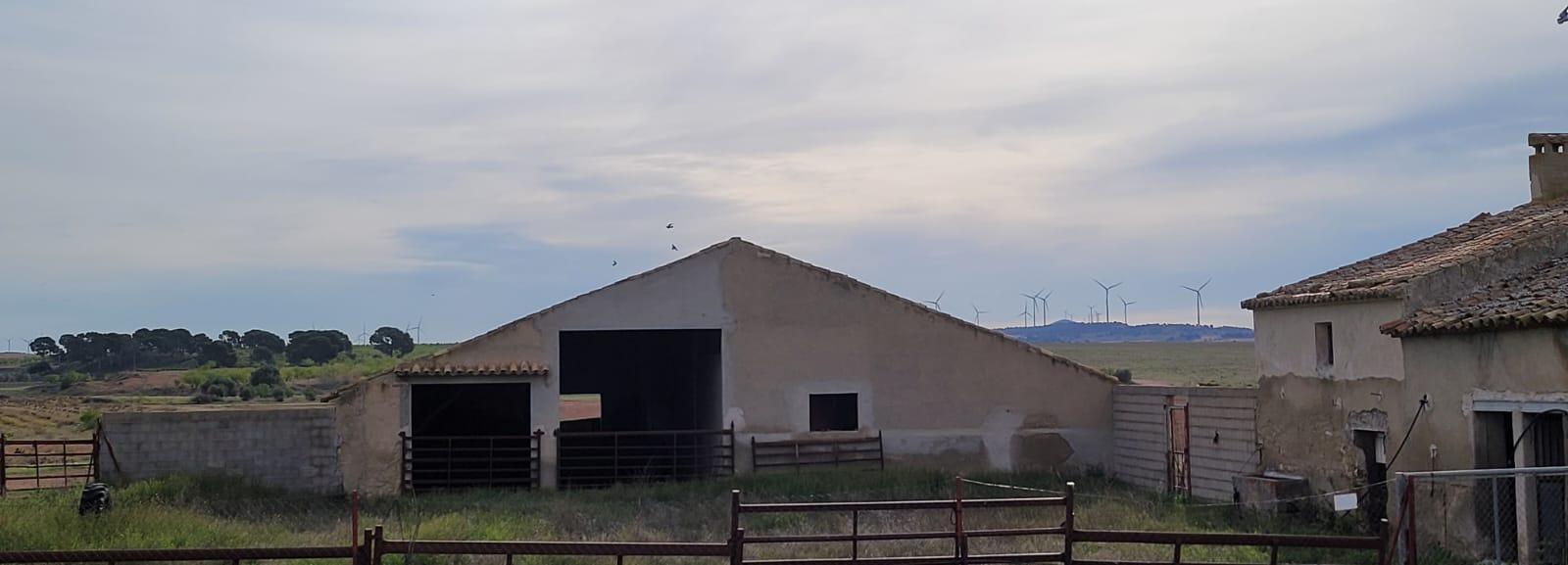 Finca Agrícola Y Ganadera en venta - Murcia - 10