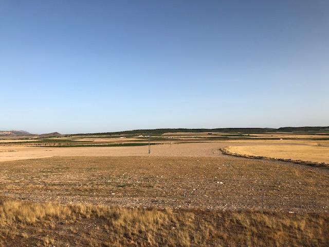 Finca Agrícola Y Ganadera en venta - Murcia - 13