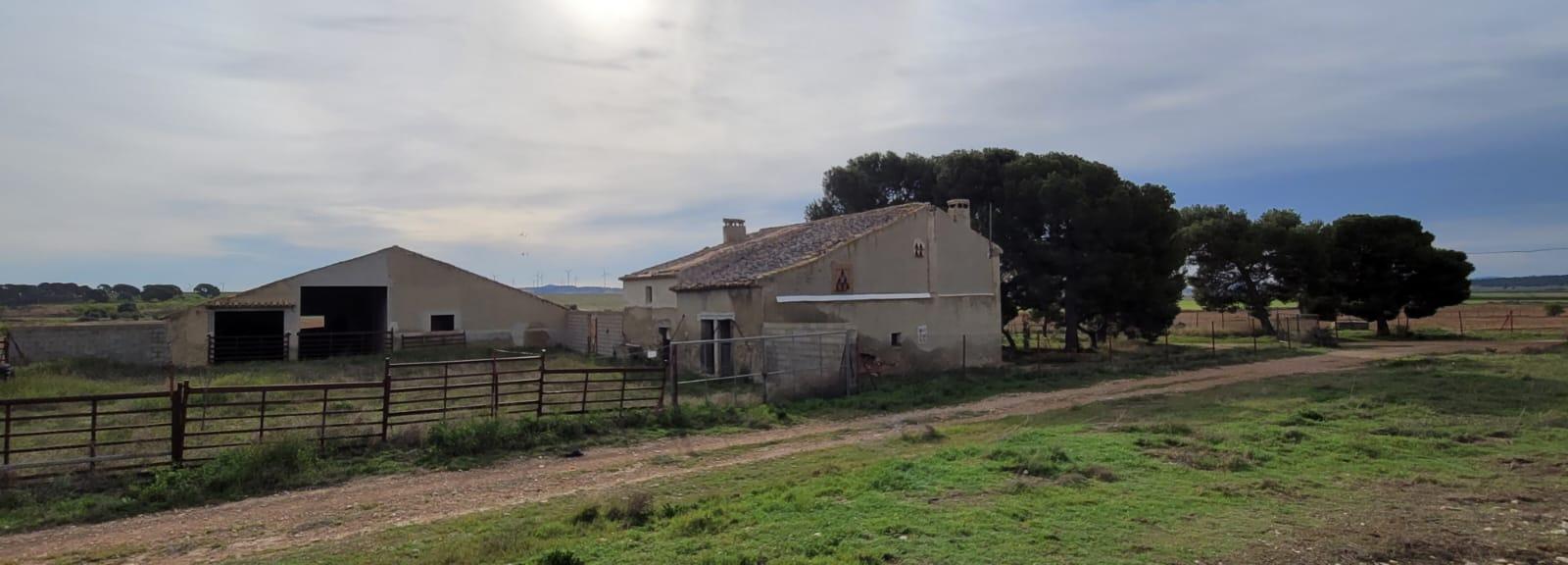 Finca Agrícola Y Ganadera en venta - Murcia - 7