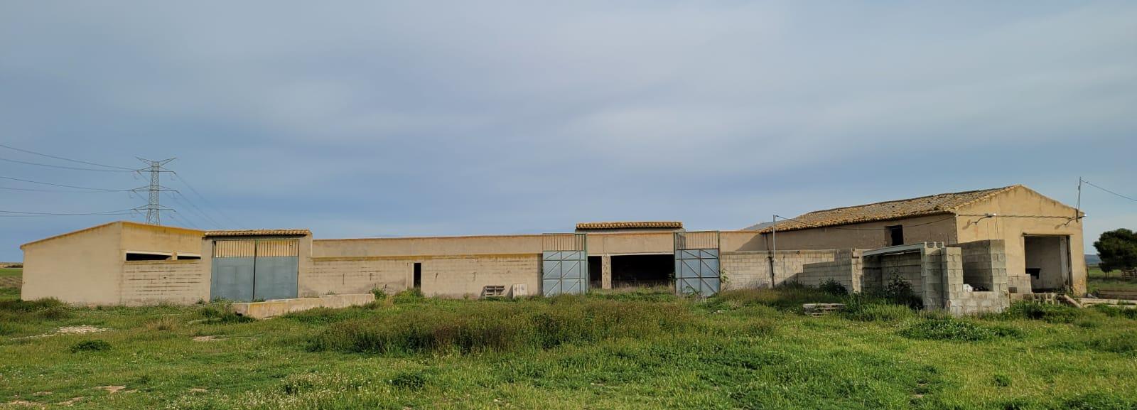 Finca Agrícola Y Ganadera en venta - Murcia - 16