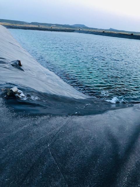 Finca Agrícola Y Ganadera en venta - Murcia - 6