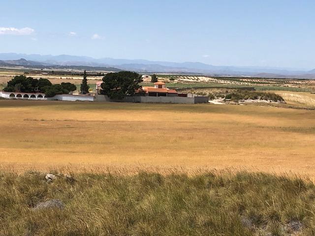 Finca Agrícola Y Ganadera en venta - Murcia - 1