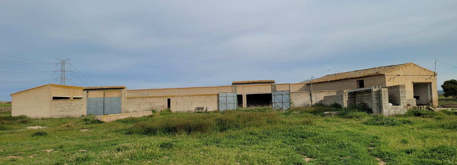 Finca Agrícola Y Ganadera en venta - Murcia - 3