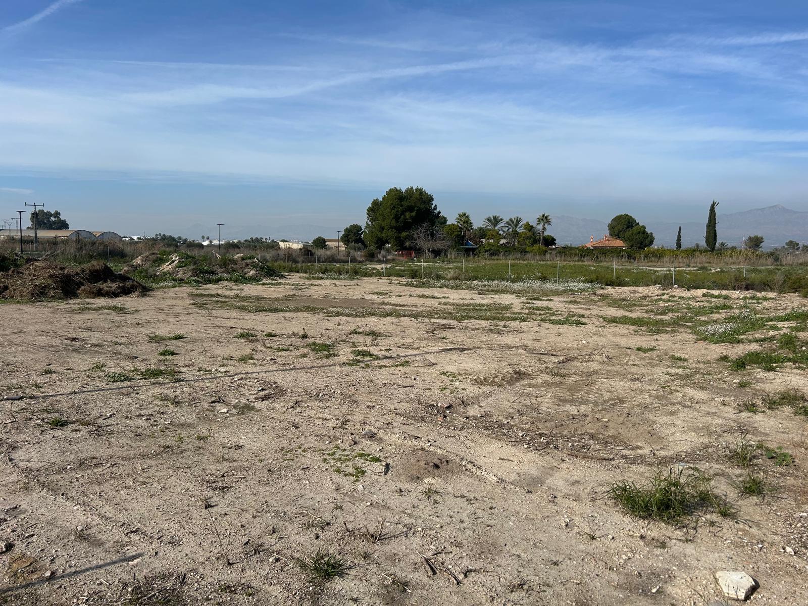 Parcela en Venta - San Isidro, Alicante  - 1