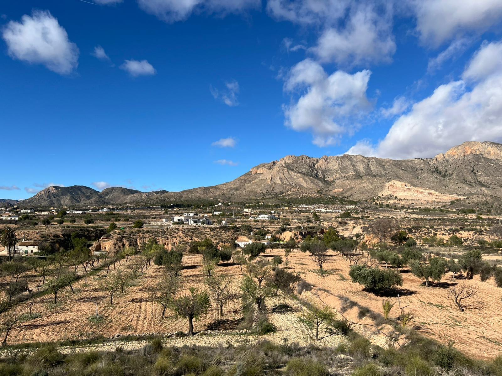 Casa con terreno en venta - Abanilla, Murcia - 12