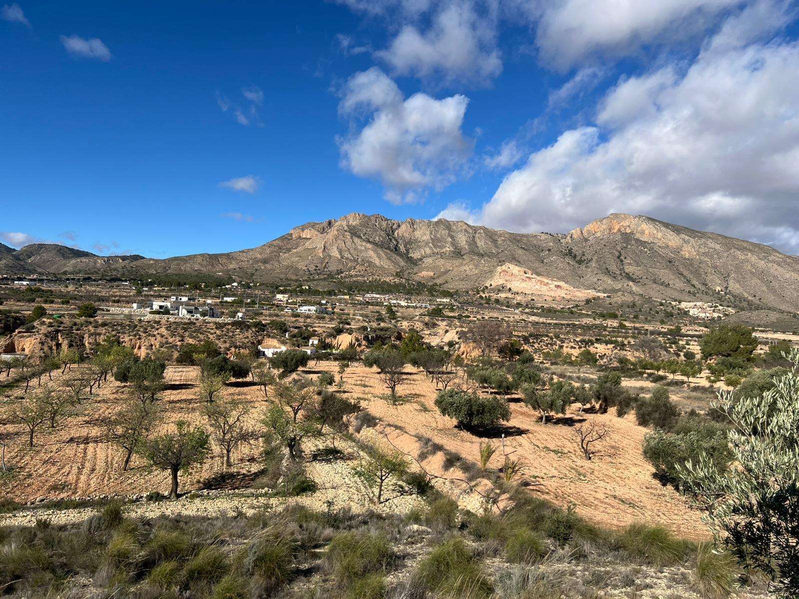 Casa con terreno en venta - Abanilla, Murcia - 13