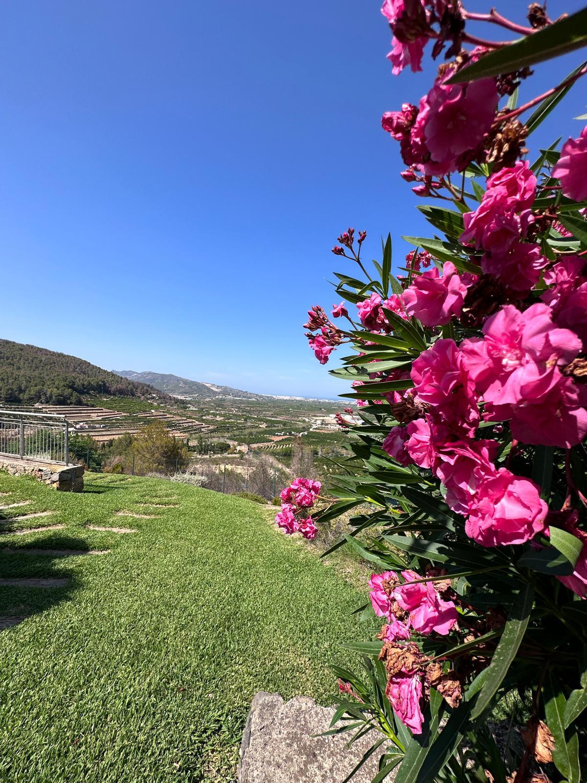 Apartamento en venta -  Carrer Taronger, Valencia - 5