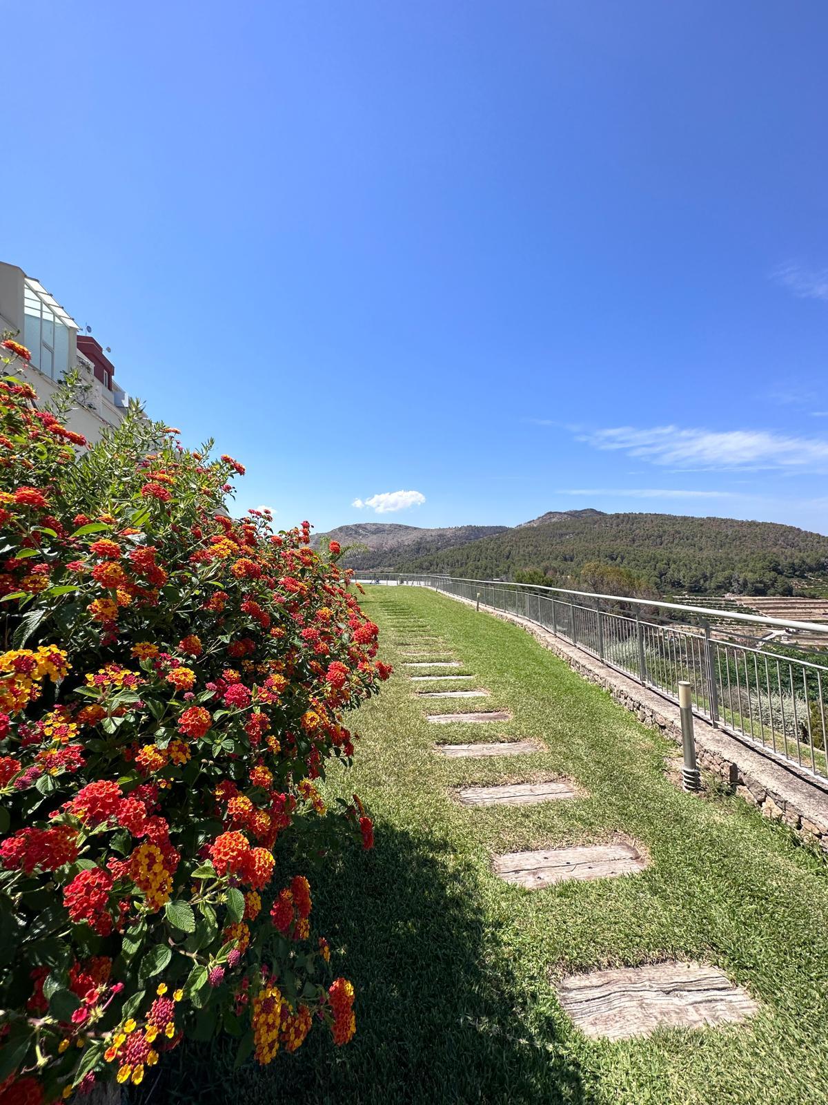 Apartamento en venta -  Carrer Taronger, Valencia - 2