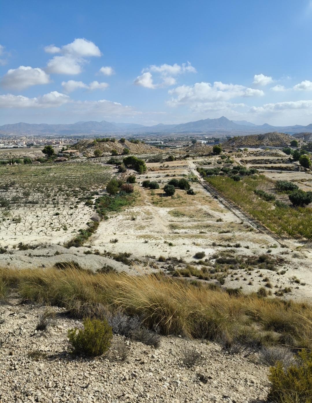 Terreno en Venta - Murcia - 1
