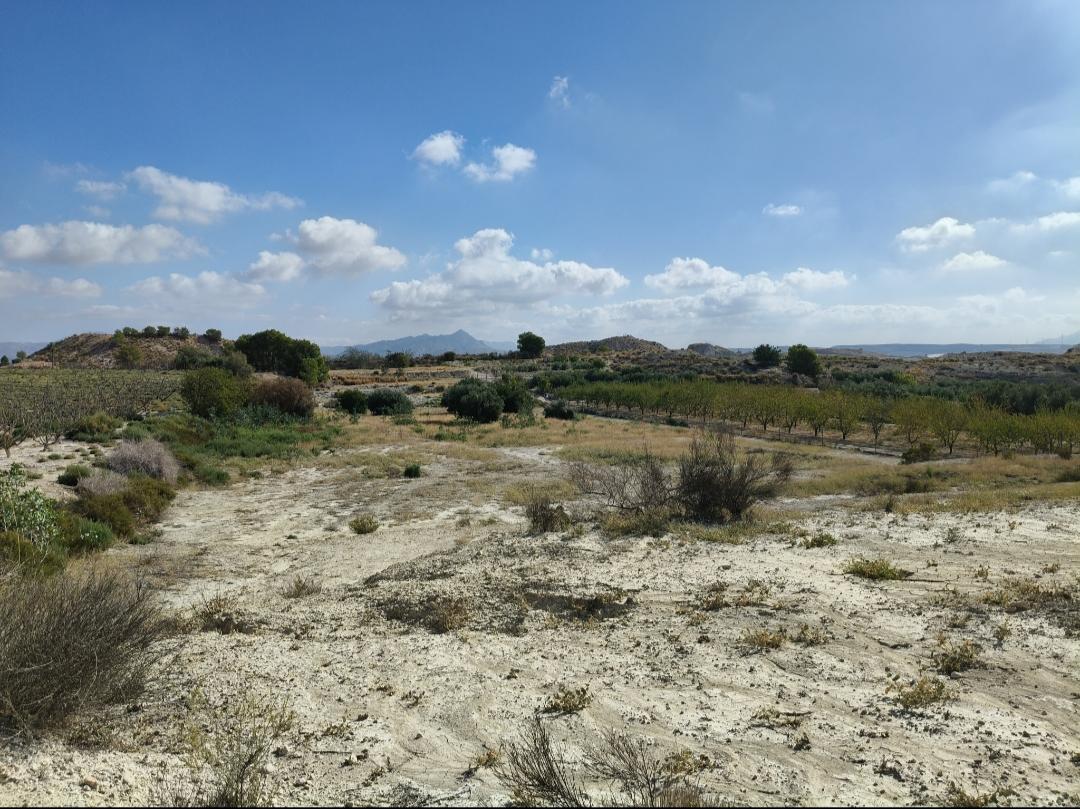 Terreno en Venta - Murcia - 2