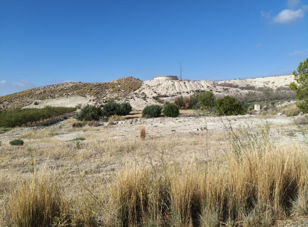 Terreno en Venta - Murcia - 4