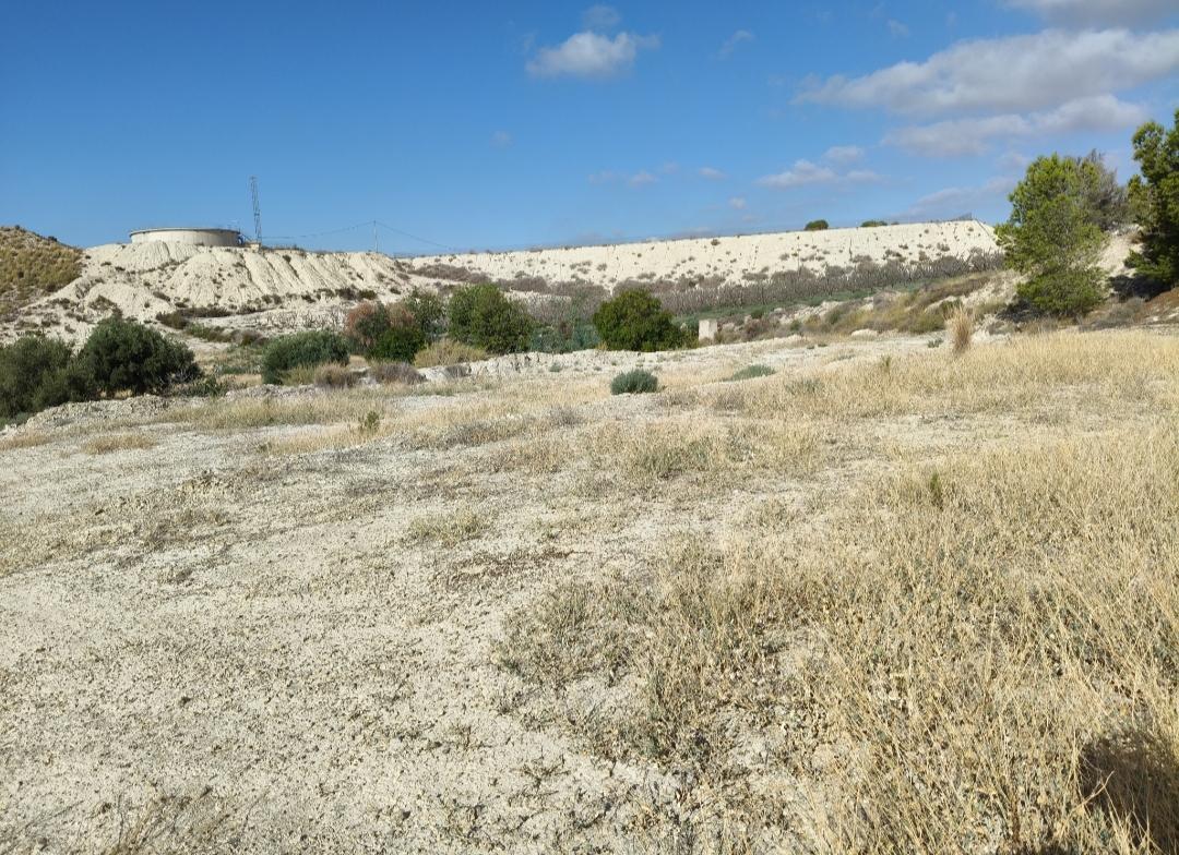 Terreno en Venta - Murcia - 5