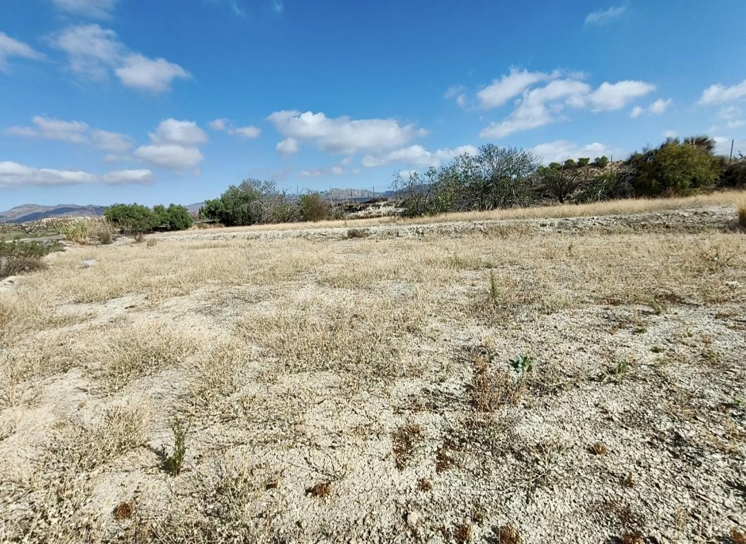 Parcela en venta - Fortuna - 3