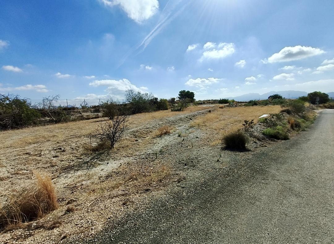 Parcela en venta - Fortuna - 2