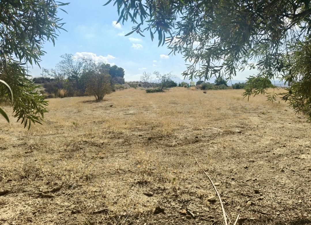 Parcela en venta - Fortuna - 1