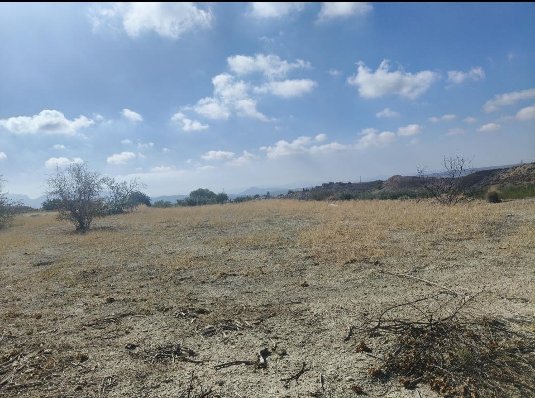 Parcela en venta - Fortuna - 4