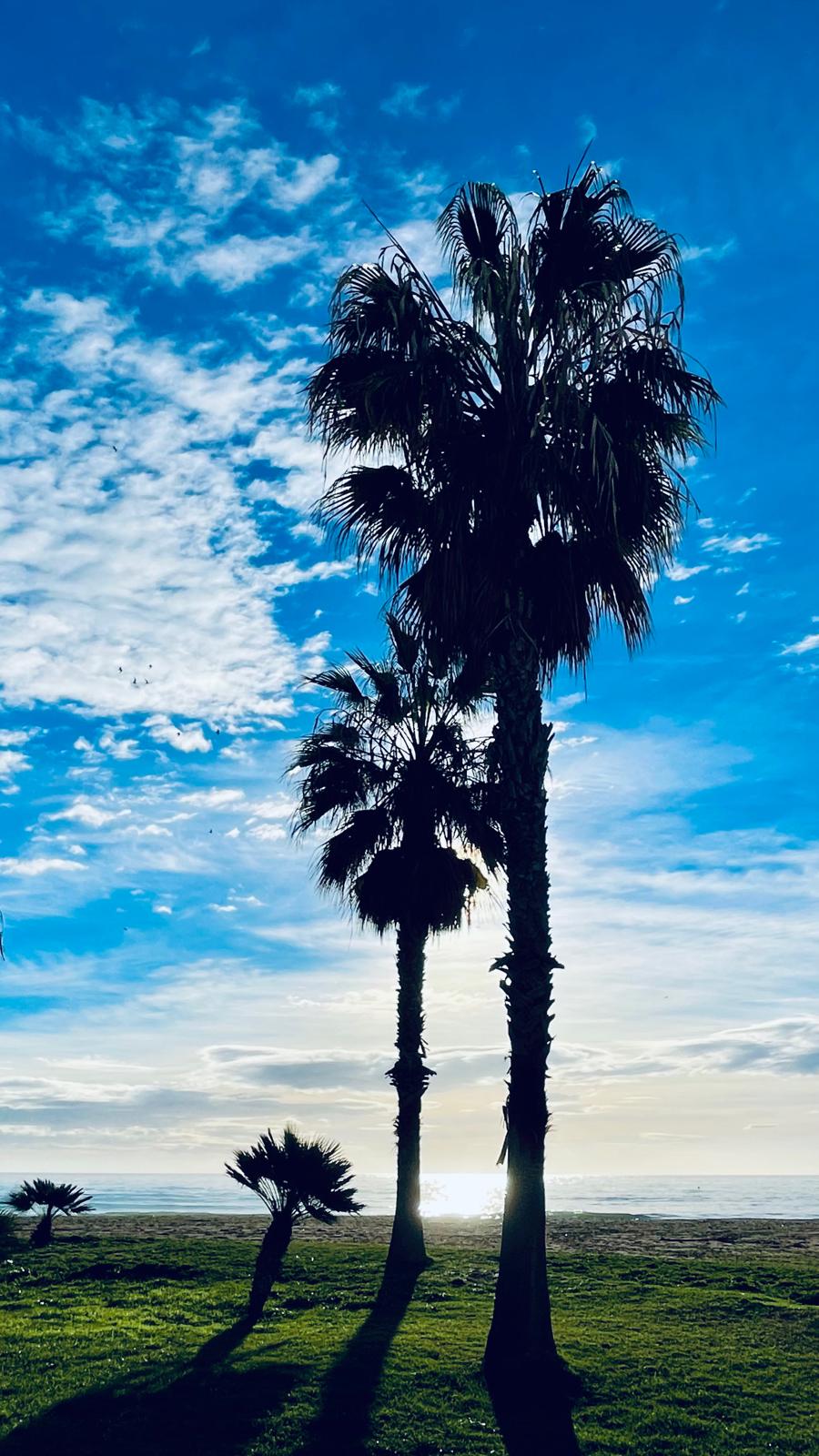 Apartamento en venta - Malagueta - 3