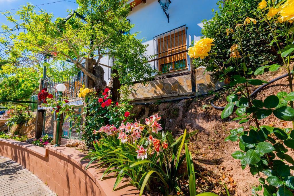 Casa Rústica en Venta - Ardales - 16