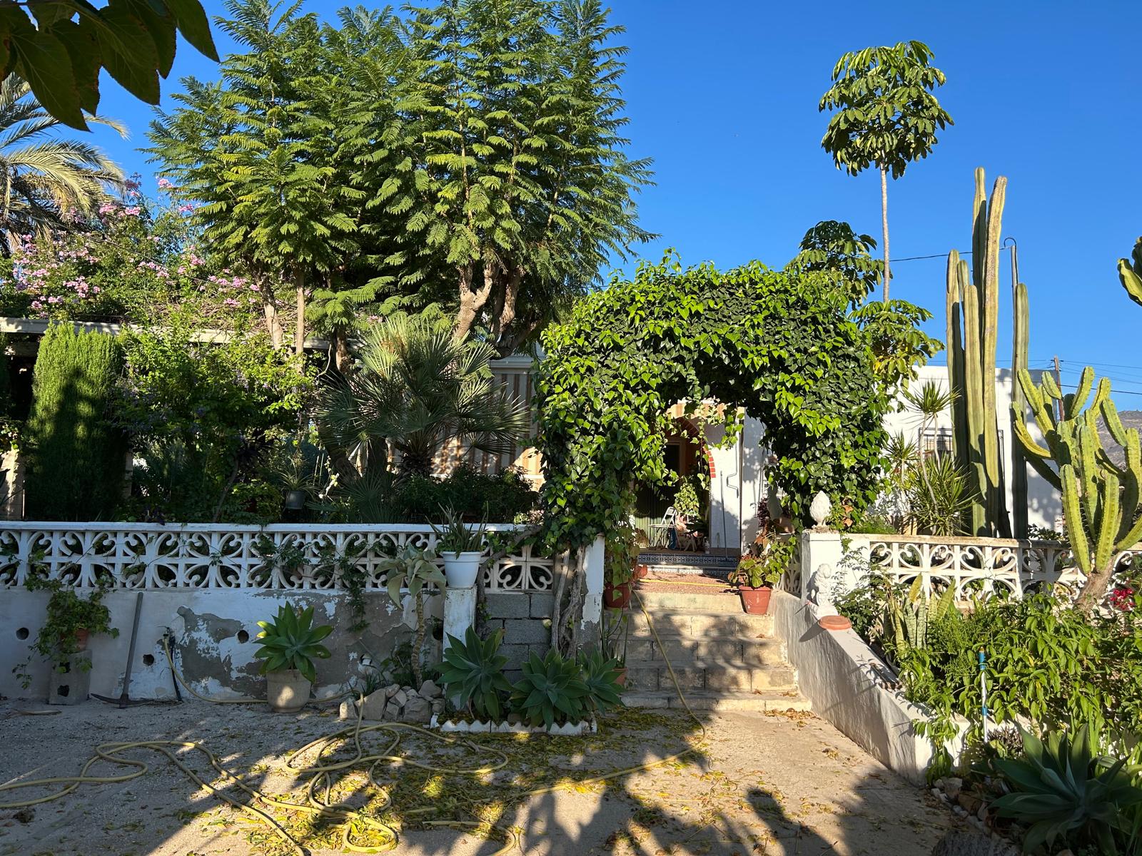 Chalet en Venta - Crevillent - 17