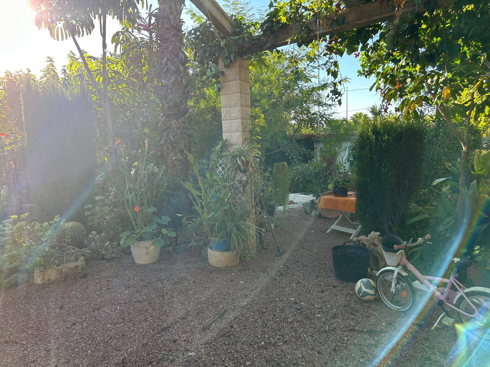 Chalet en Venta - Crevillent - 23