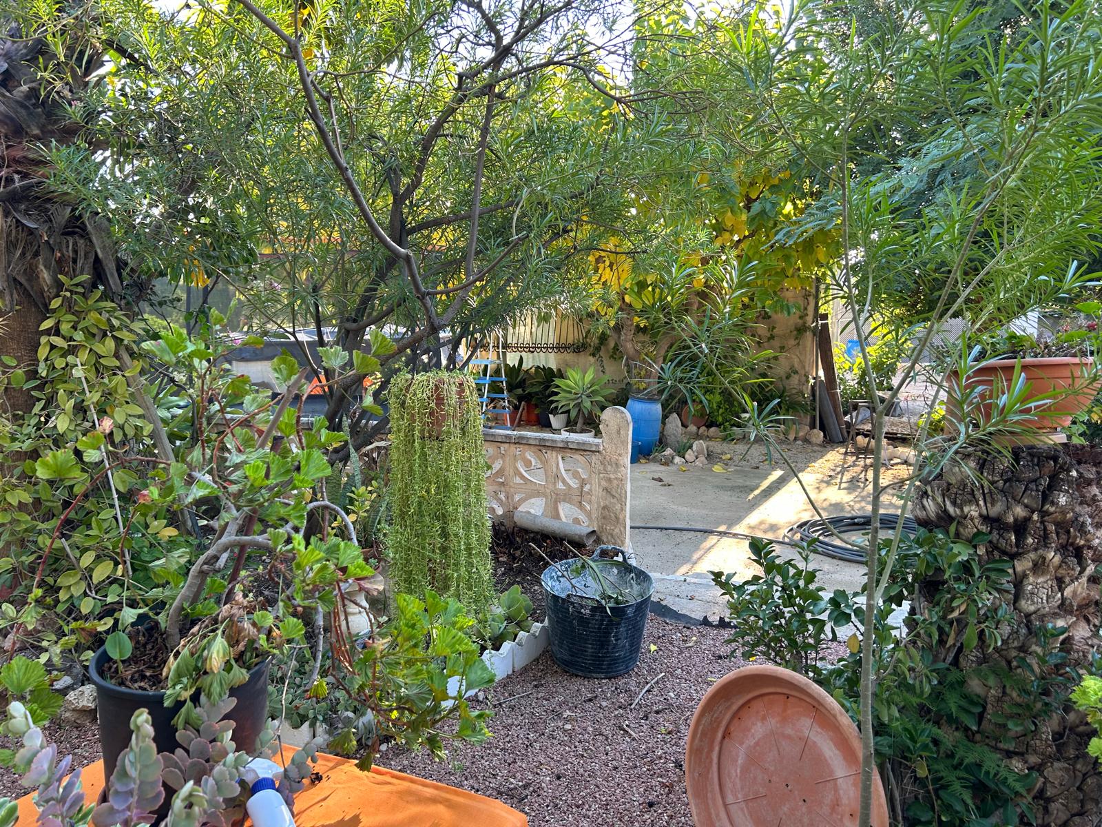 Chalet en Venta - Crevillent - 22