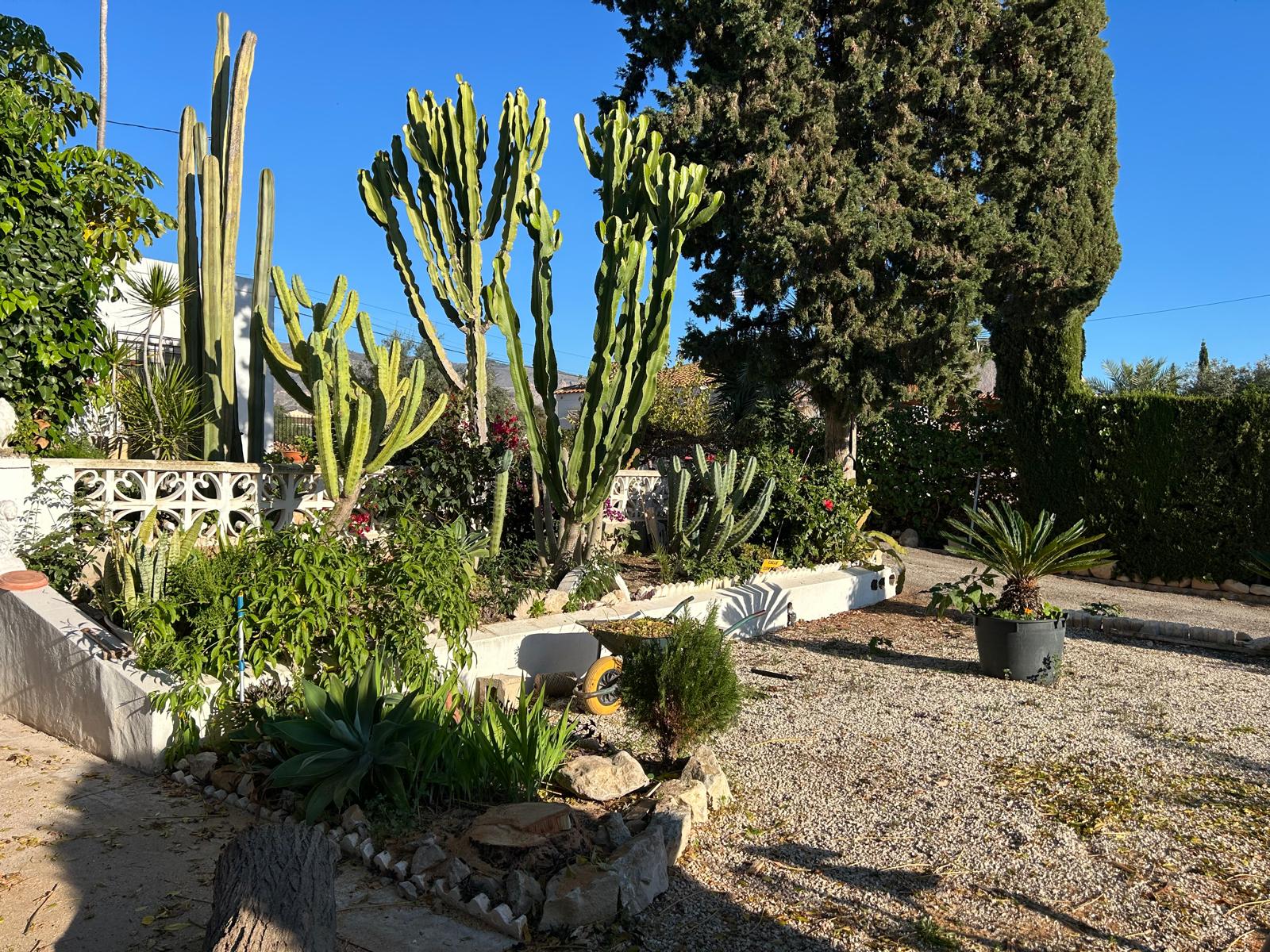 Chalet en Venta - Crevillent - 16