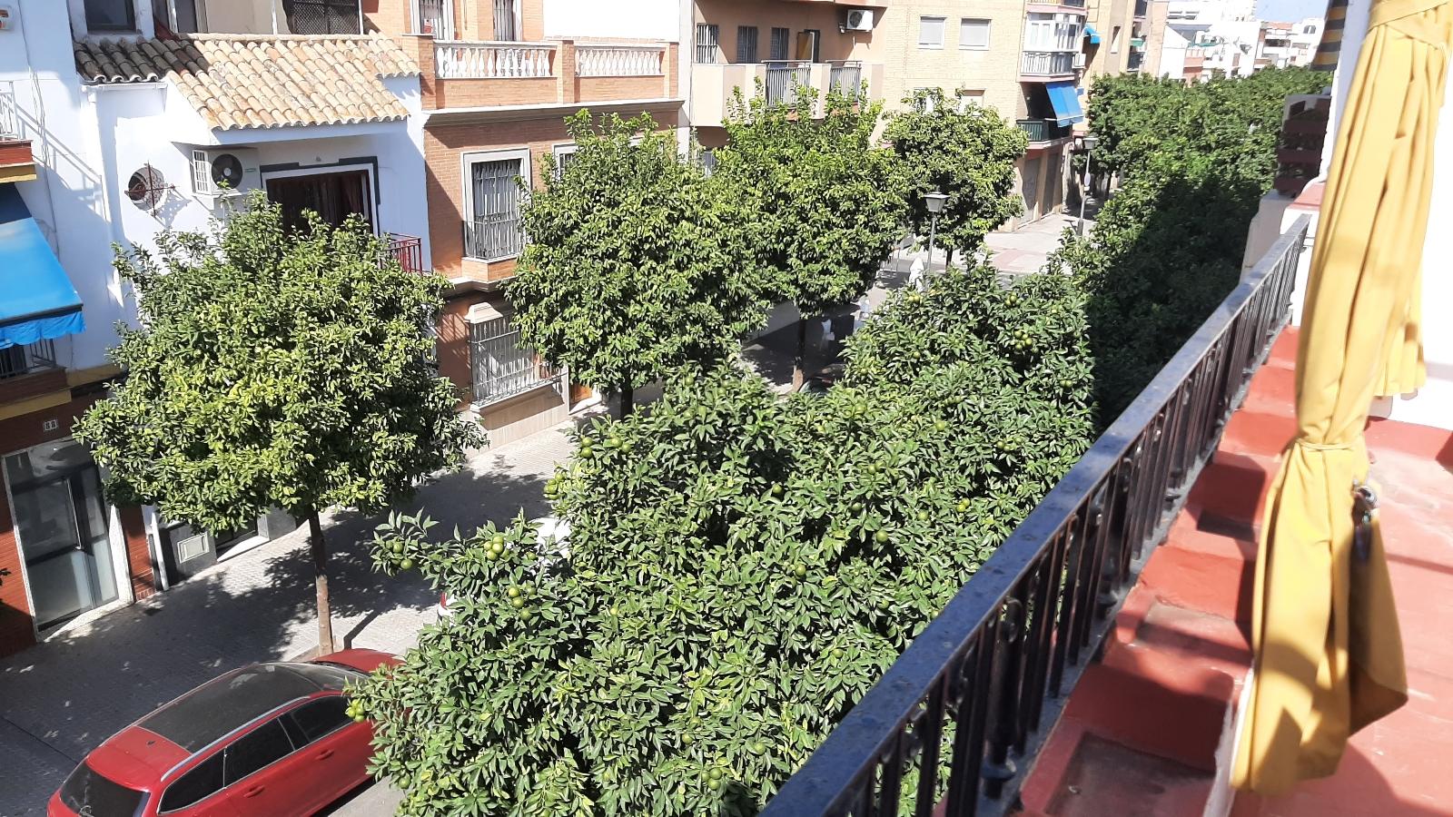 Independiente en Venta - Nervión, Sevilla - 5