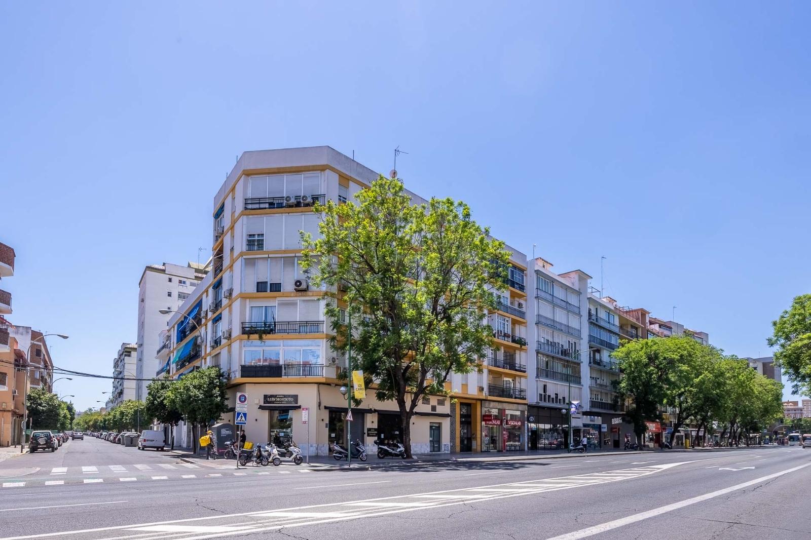 Piso en Venta - C. Luis Montoto - 3