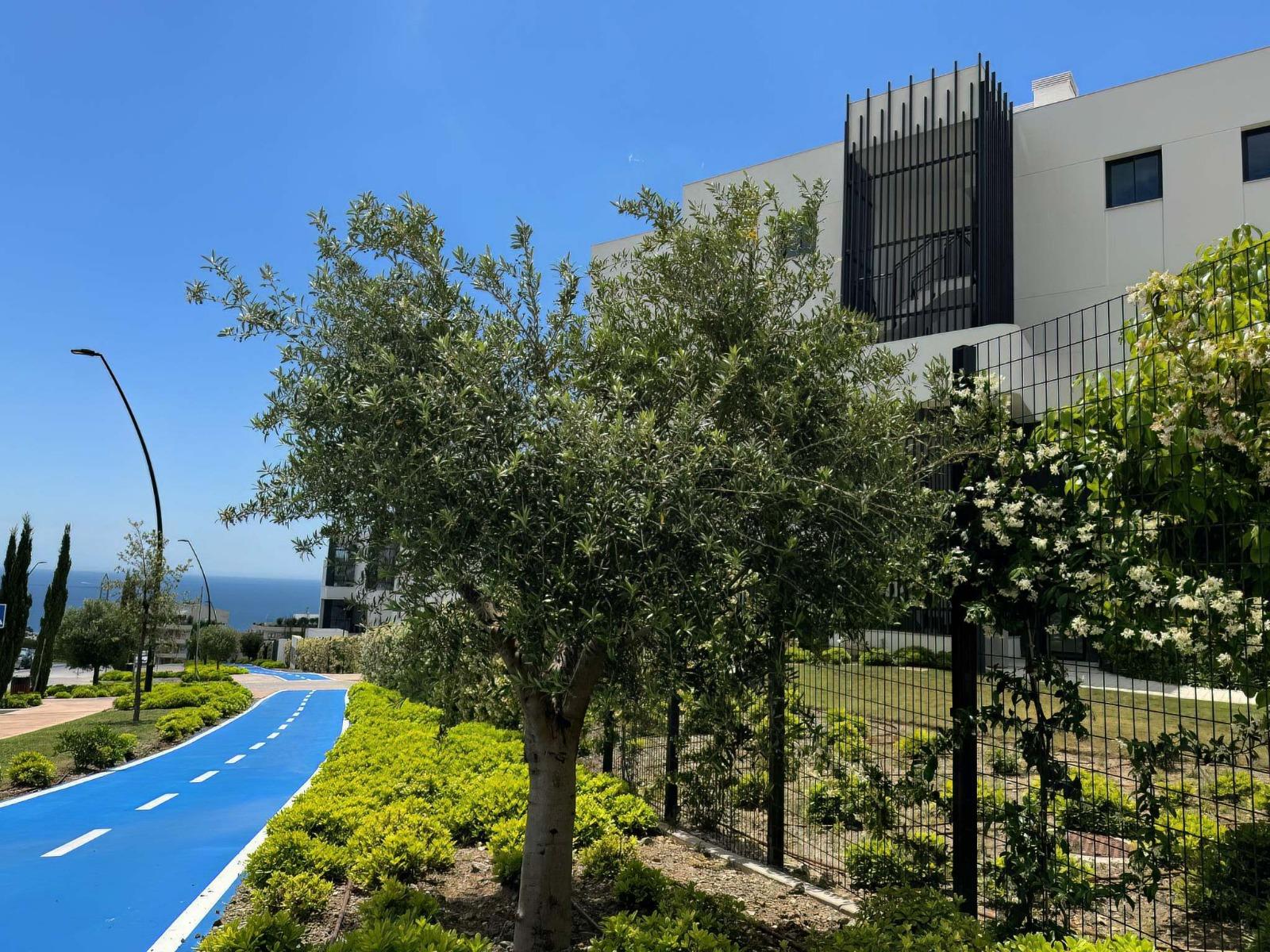 Ático en Venta en Av. Fuengirola - 11