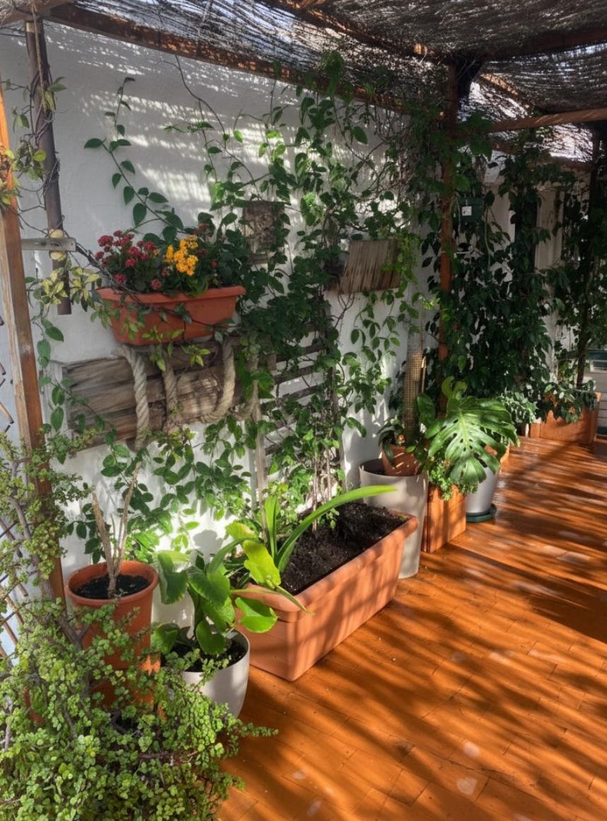 Piso en Venta en Carrer de la Mar - 11