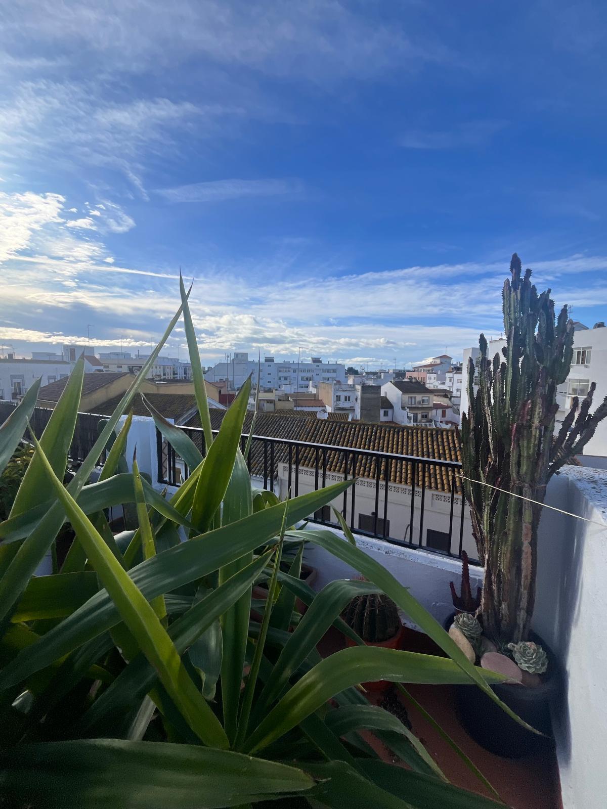 Piso en Venta en Carrer de la Mar - 14