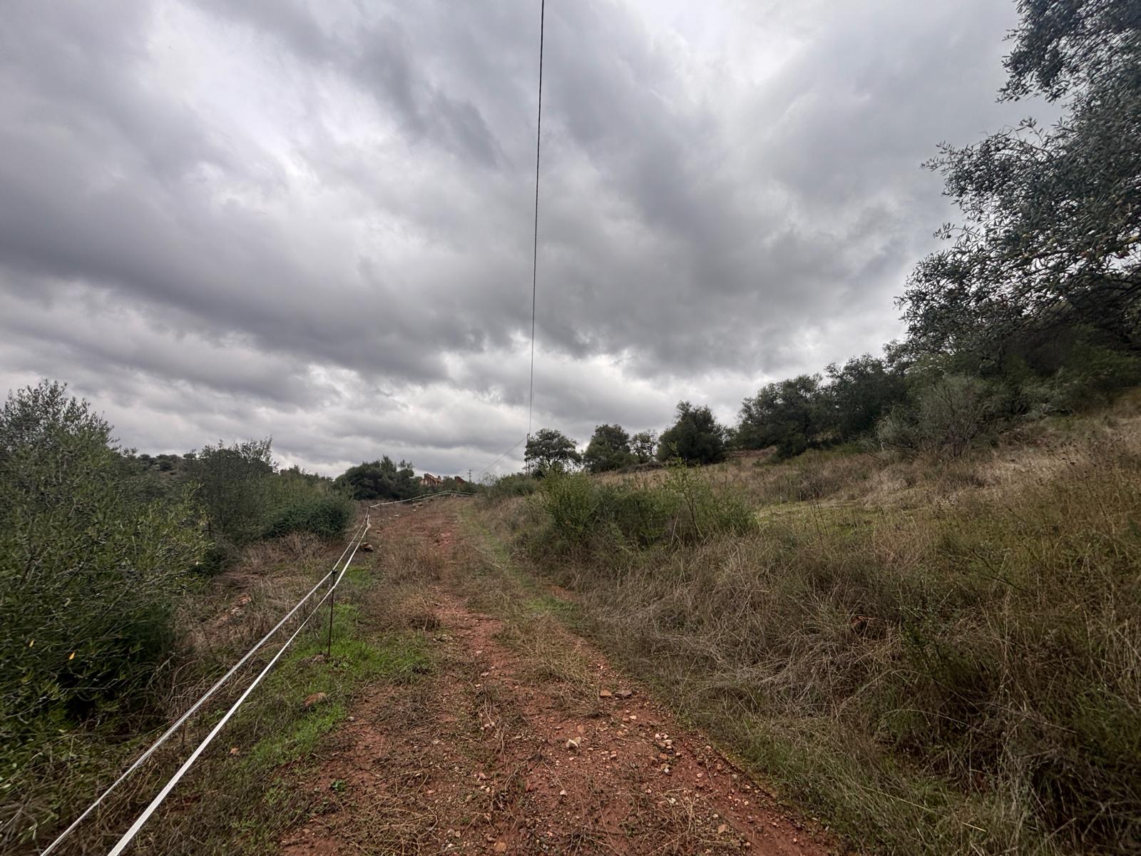 Venta de Terreno Gran Tamaño Almogia - 5