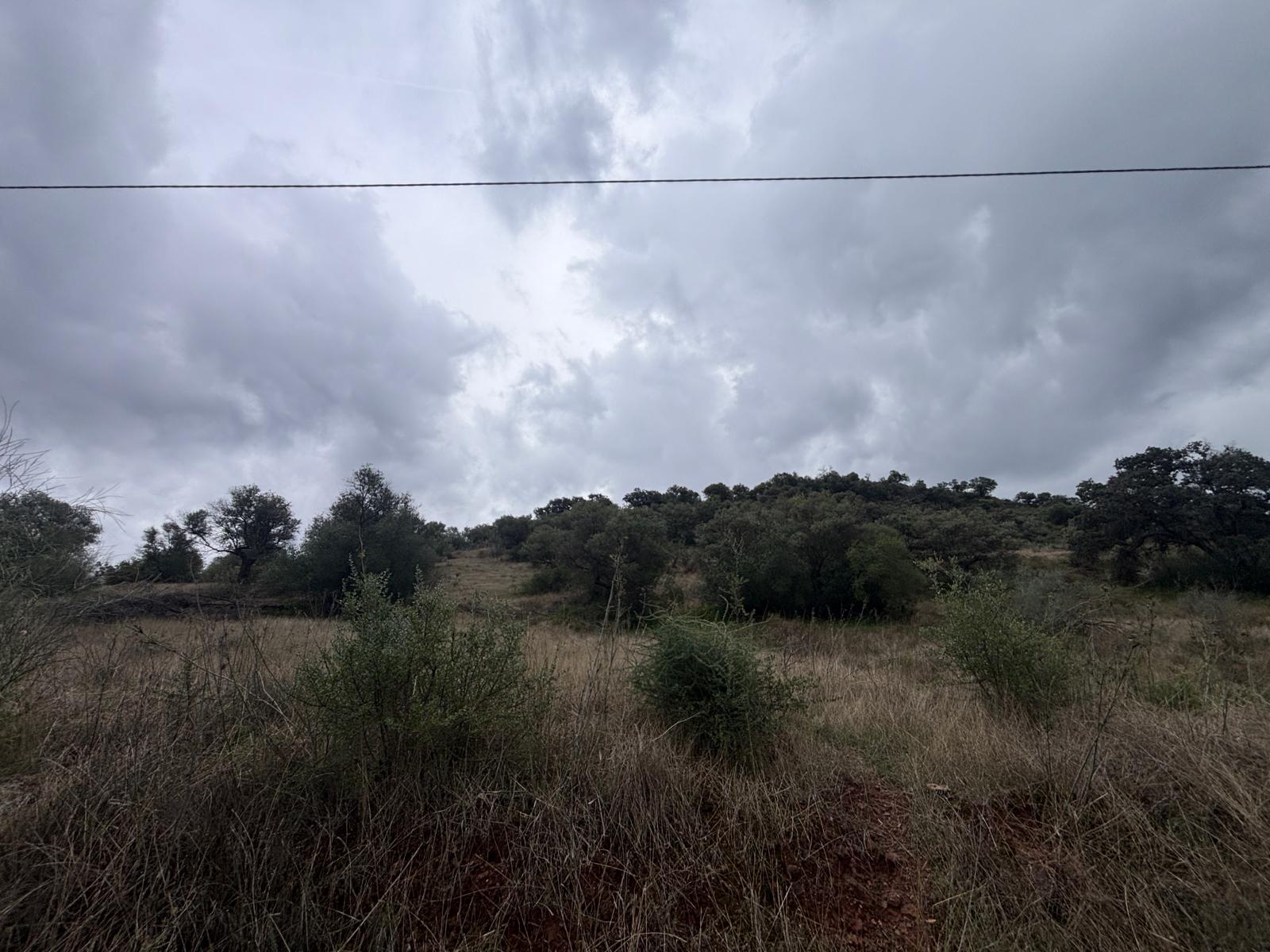 Venta de Terreno Gran Tamaño Almogia - 13