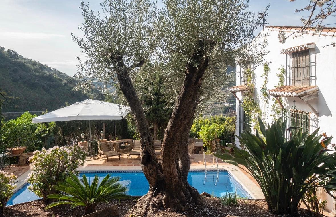 Villa en Venta en - Sayalonga - 36