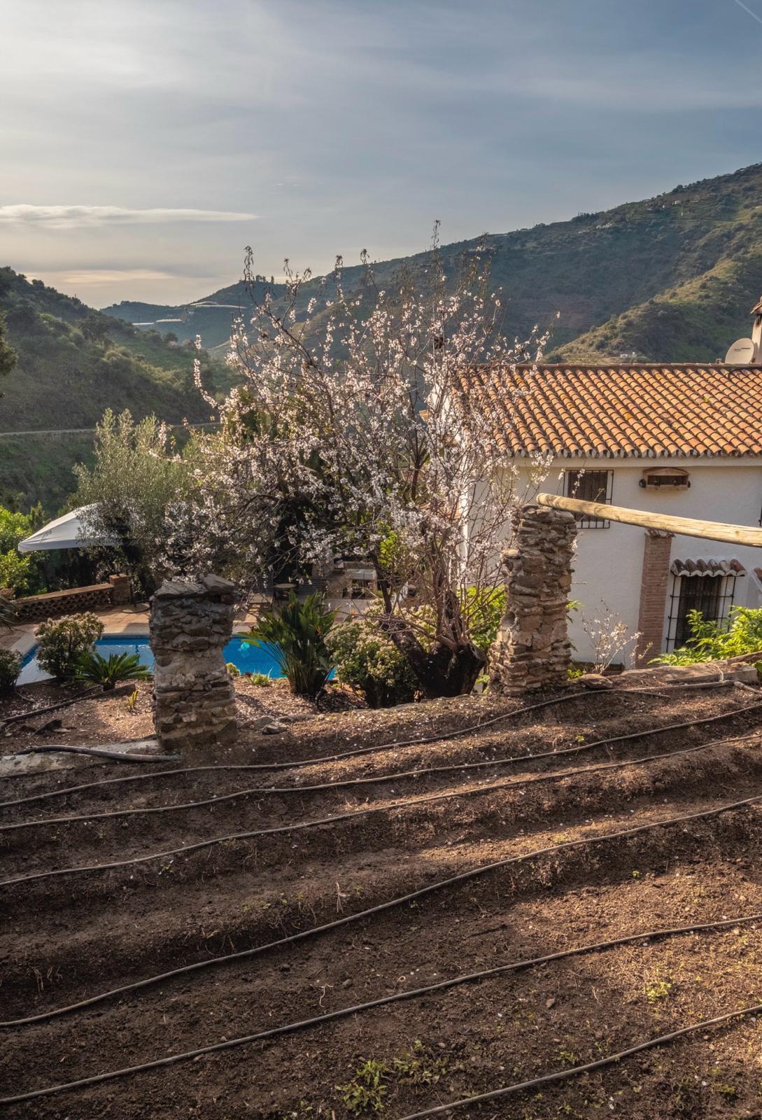 Villa en Venta en - Sayalonga - 61