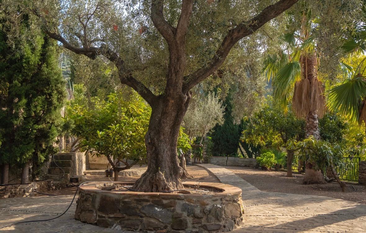 Villa en Venta en - Sayalonga - 56