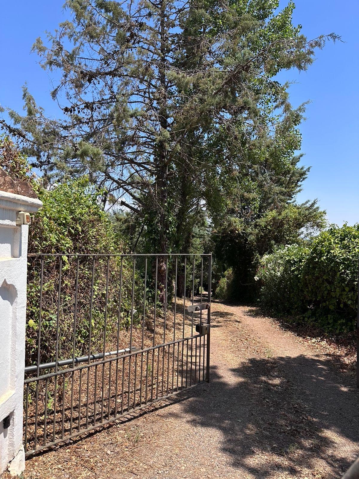 Casa en venta - Aracena, Huelva - 29