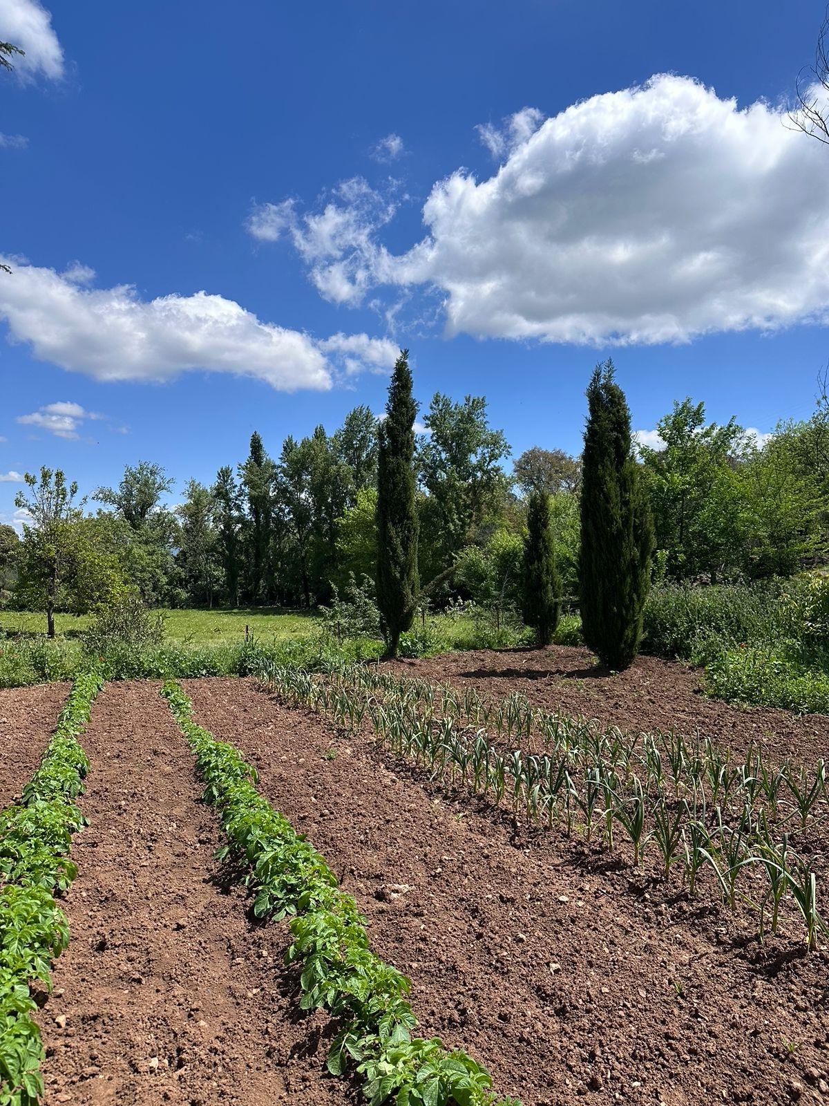 Casa en venta - Aracena, Huelva - 34