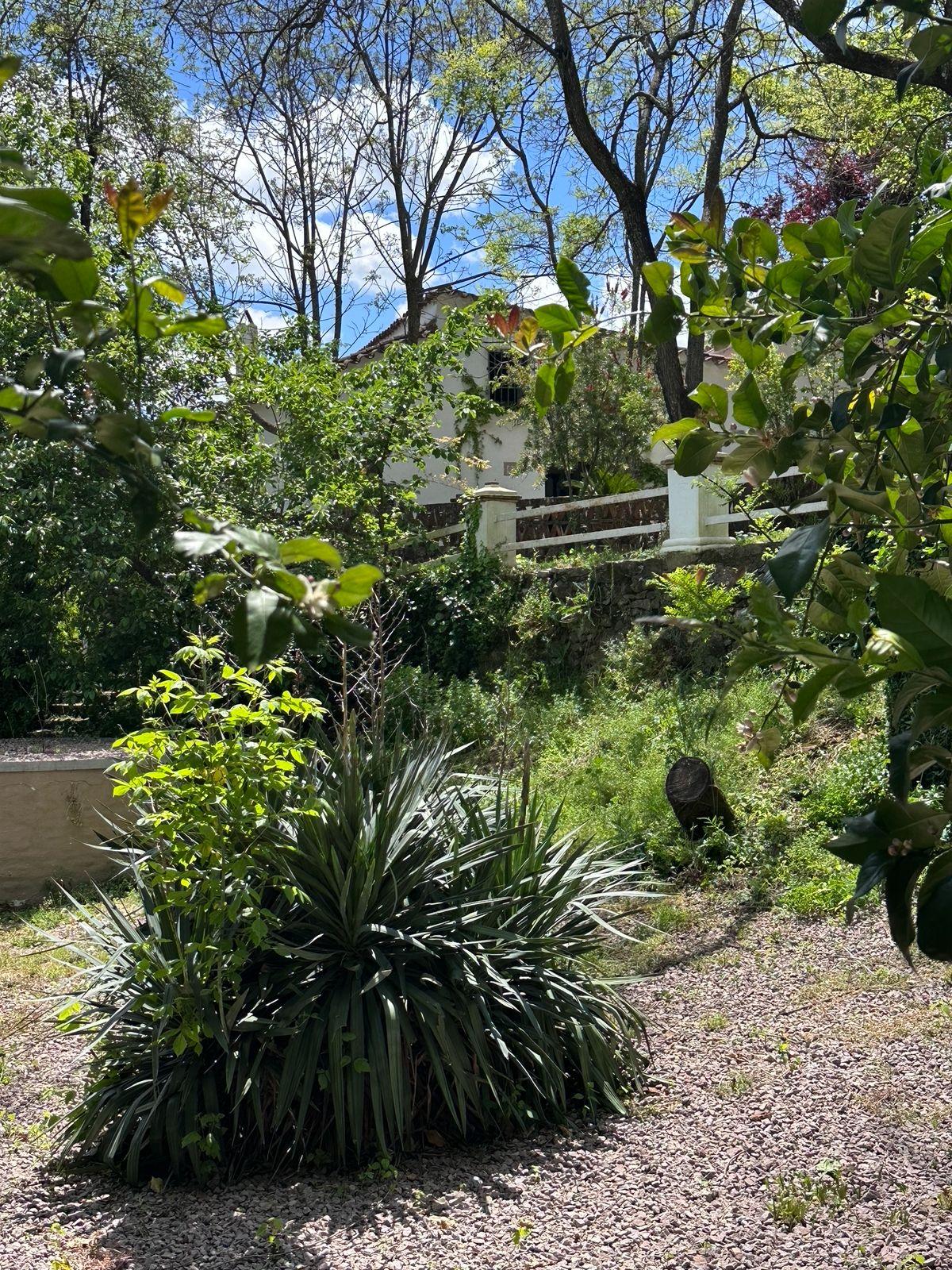 Casa en venta - Aracena, Huelva - 33