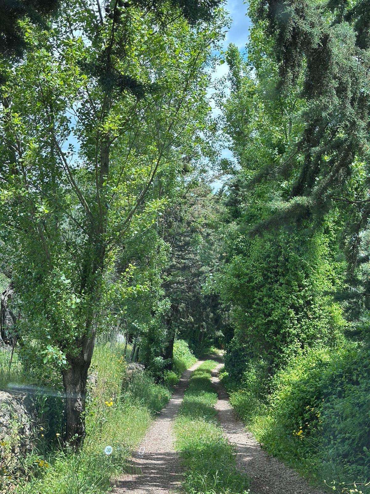 Casa en venta - Aracena, Huelva - 66