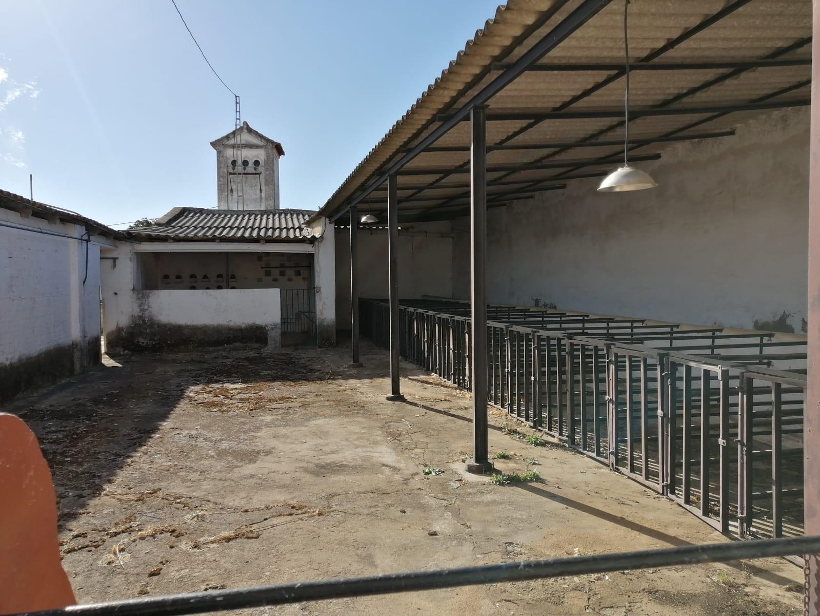 Casa Rústica en Venta en C. Pablo Picasso - 24