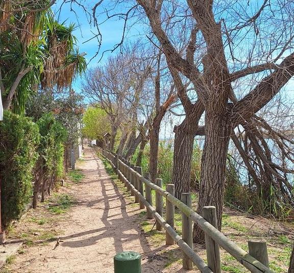 Local en Venta  - 40