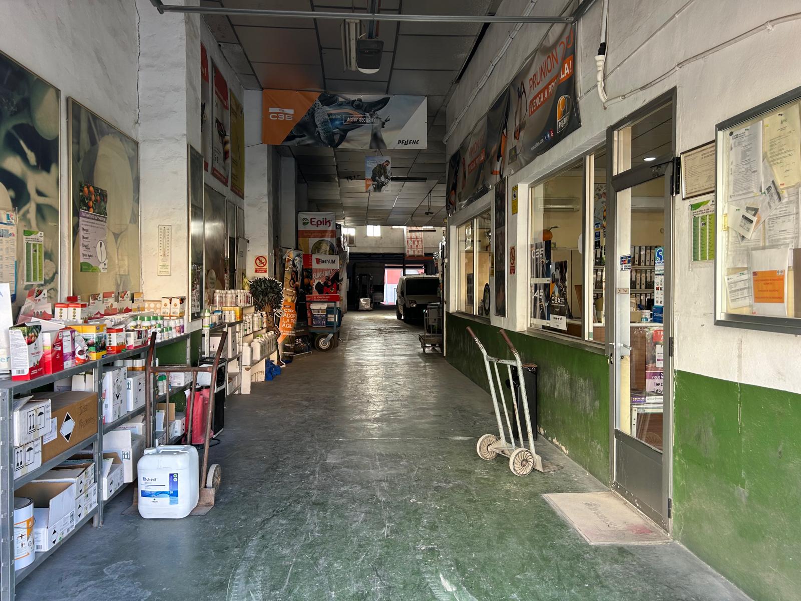 Local y Nave en venta - Albatera, Alicante - 6