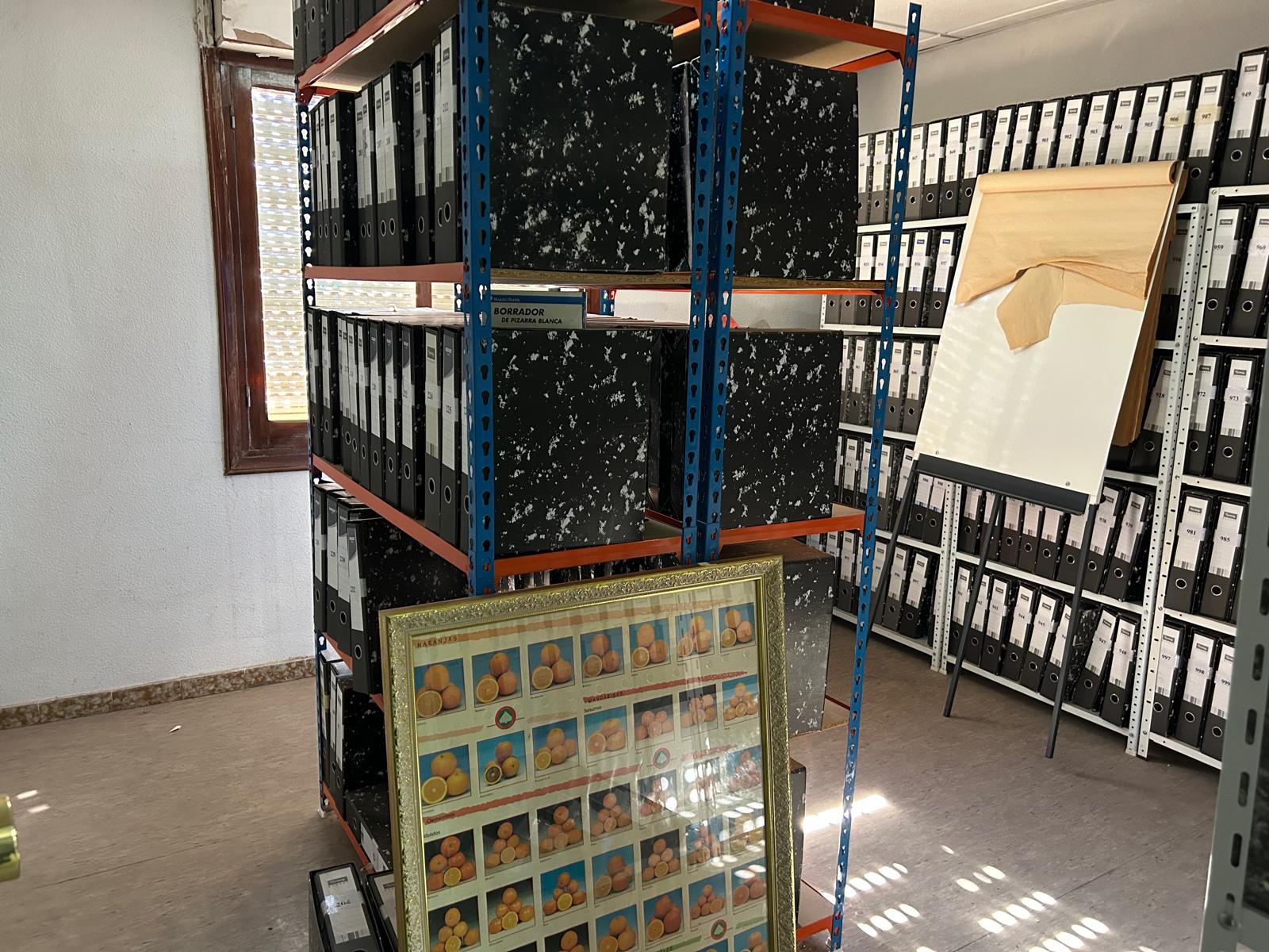 Local y Nave en venta - Albatera, Alicante - 8