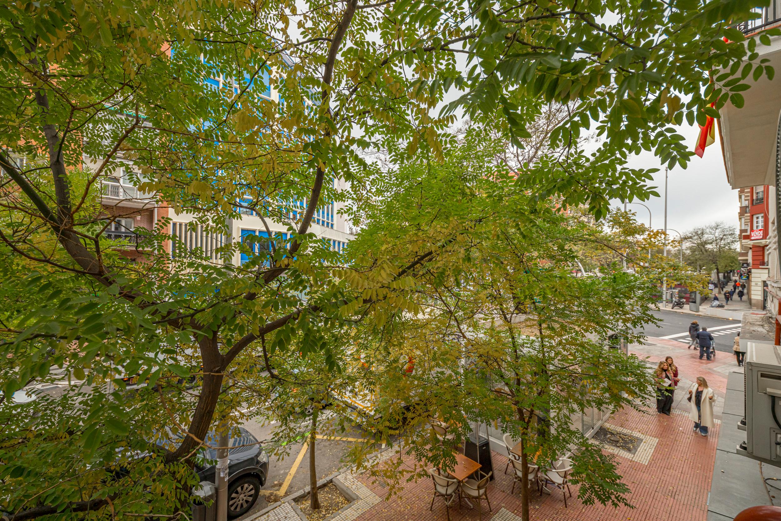 Piso en Alquiler en Calle de Sta Engracia - 18