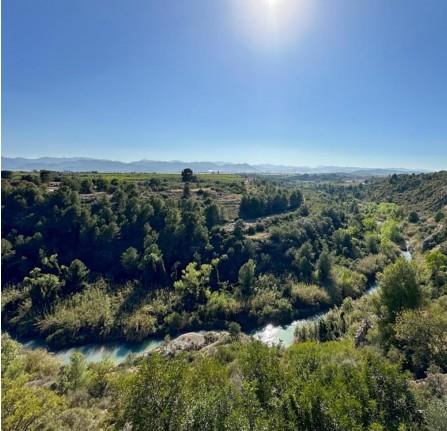 Casa en Venta en Partida - 6